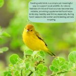 Premium Wild Bird Food 5L Refill, (5L Bag, Wild Bird Mix) - Image 3